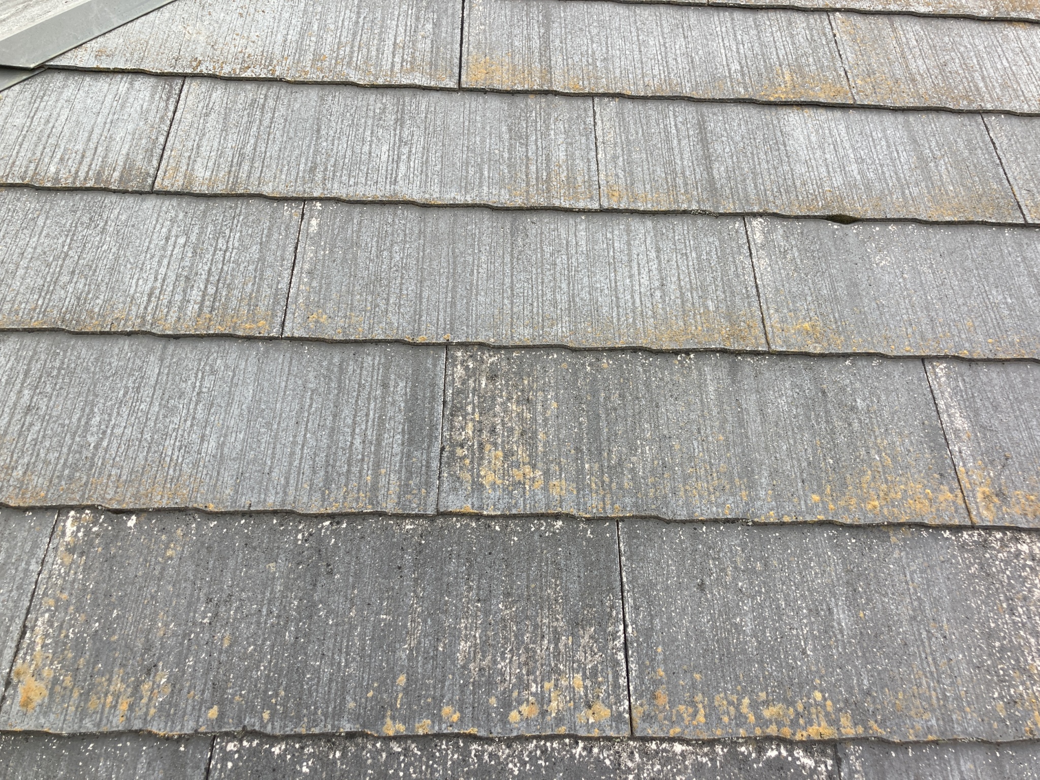 化粧スレートの劣化状況